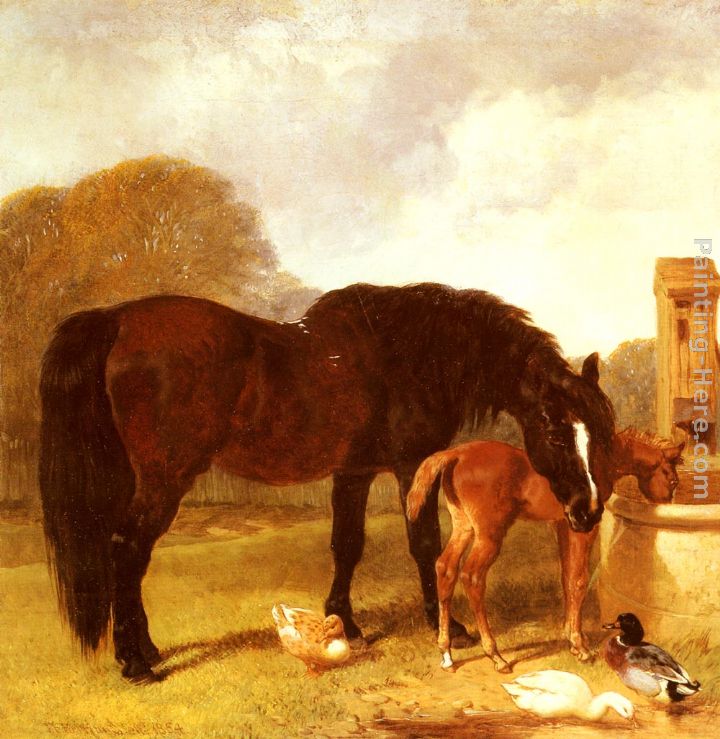Horse and Foal watering at a trough painting - John Frederick Herring Snr Horse and Foal watering at a trough art painting